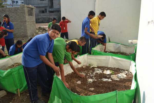 Sewa Report & Vermicompost