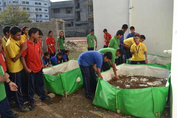 Sewa Report & Vermicompost