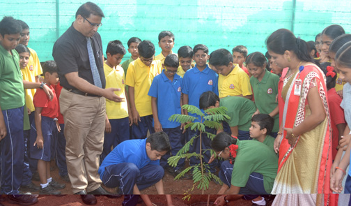 Tree Plantation on World Environment Day