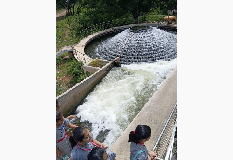 Field trip to the water purification plant!