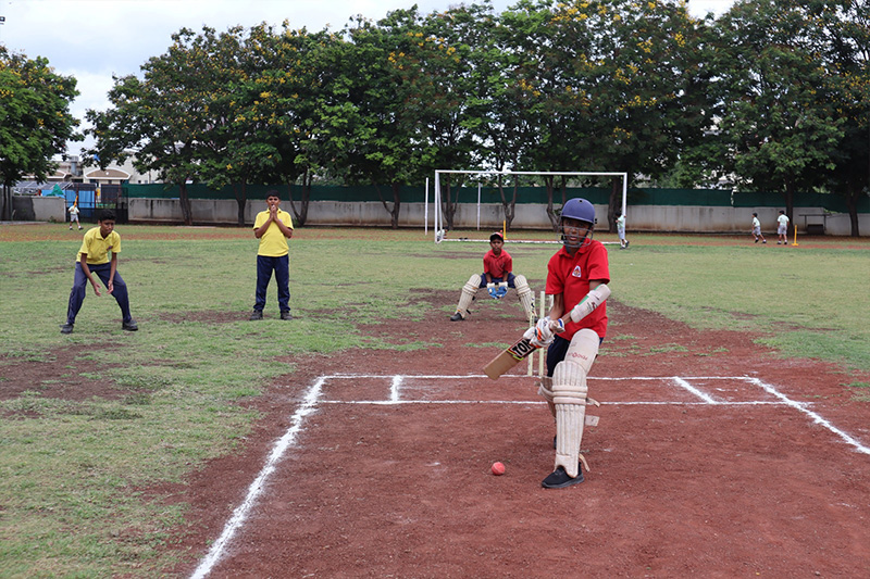 Cricket